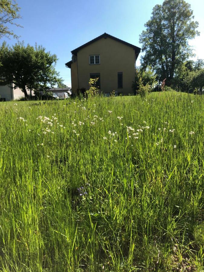 Seeblick Apartments Muehlau Экстерьер фото